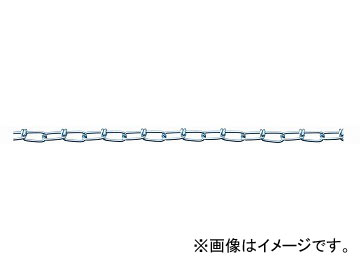 ˥å/NISSA CHAIN ӥ Ŵ ˥ 30m IV14 JAN4968462053513