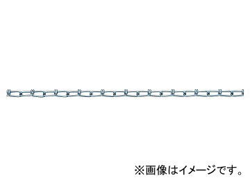 ˥å/NISSA CHAIN ӥ Ŵ ˥ 30m IV12 JAN4968462053612