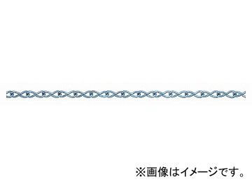 ˥å/NISSA CHAIN 󥰥른å Ŵ ˥ 30m IJ116 JAN4968462055210