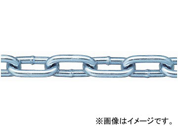 ˥å/NISSA CHAIN إӡ Ŵ ˥ 30m IW85 JAN4968462058112