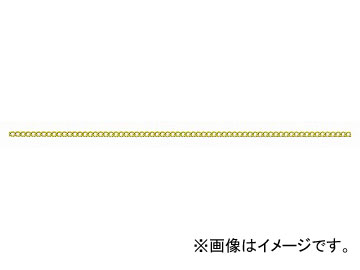 ˥å/NISSA CHAIN 硼ȥޥƥ 夦  30m BS9N JAN4968462065523