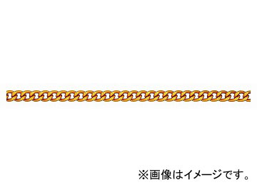 ˥å/NISSA CHAIN եꥯ󥷥硼ȥޥƥ ߥ˥  30m AS25F JAN4968462070800