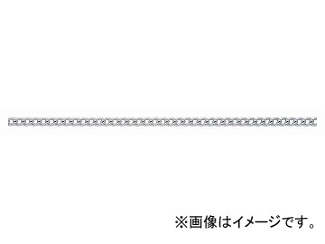 ˥å/NISSA CHAIN 硼ȥޥƥ ߥ˥  30m AS16 JAN4968462072019