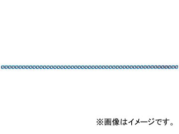 ˥å/NISSA CHAIN եꥯ󥷥硼ȥޥƥ ߥ˥  30m AS12C JAN4968462072132
