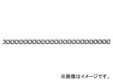 ˥å/NISSA CHAIN եꥯ󥷥硼ȥޥƥ ꡼봬 Ŵ  15m R-IS25F JAN4968462151806