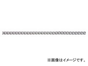 ˥å/NISSA CHAIN 硼ȥޥƥ ꡼봬 Ŵ  15m R-IS20 JAN4968462151509