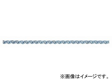 ˥å/NISSA CHAIN  ꡼봬 Ŵ ˥ 30m R-IJ13 JAN4968462154319
