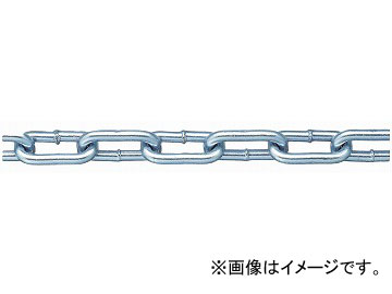˥å/NISSA CHAIN إӡ ꡼봬 Ŵ ˥ 30m R-IW55 JAN4968462158416