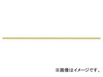 ˥å/NISSA CHAIN 硼ȥޥƥ ꡼봬 夦  30m R-BS9N JAN4968462165520
