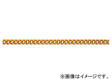 ˥å/NISSA CHAIN եꥯ󥷥硼ȥޥƥ ꡼봬 ߥ˥  15m R-AS25F JAN4968462170807