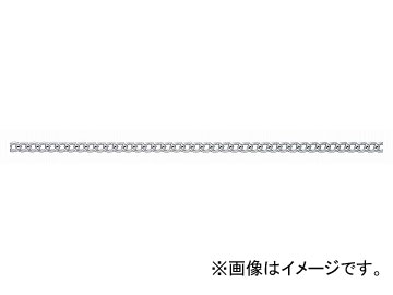 ˥å/NISSA CHAIN 硼ȥޥƥ ꡼봬 ߥ˥  30m R-AS16 JAN4968462172016