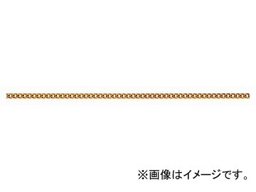 ˥å/NISSA CHAIN 硼ȥޥƥ ꡼봬 ߥ˥  30m R-AS12 JAN4968462172306