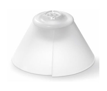 ˥/SIGNIA åɡ 塼åץɡ12mm 1ѥå(6)