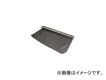 ϥȹ/KIKUCHI TSХǮѴ TSBAS150010(4417321) JAN4560343441350