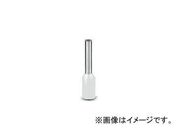 ե󥱥ߥ른ѥ/FCJ 󥿥 ü(ե롼) AI0.58WH(4513631) 100