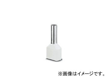 ե󥱥ߥ른ѥ/FCJ 󥿥 2ü AITWIN2X0.58WH(4513711) 100