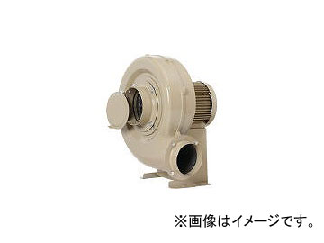 ŵ/SHOWADENKI ư ǽ꡼(1.0kW) ECH10(4537459) JAN4547422416058