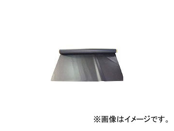 ϥȹ/KIKUCHI TSǮݲѴ TSASR155050(4385705) JAN4560343441442