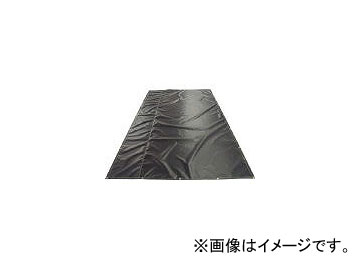 ϥȹ/KIKUCHI TSǮݲѴ TSASSH190370(4385713) JAN4560343441404