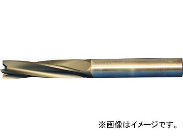 ޥѡ OptiMill-Composite(SCM480)ʣѥɥߥ SCM480-0600Z04R-S-HA-HC619(4910851)