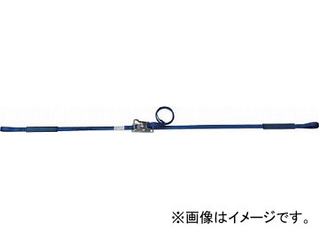 allsafe ٥Ȳ åȼ롼25(ڲٽ) R2LP0.5X4(4794869) JAN4562468180084