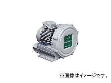  ư ήⰵ꡼ ȥ֥꡼0.3kW U2V-30S(2387387)