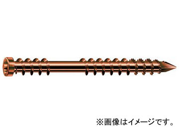 SPAX ƥ쥹 Ƭͥ 5.560 ƥĴ 538900550603(8192143) 1Ȣ(100)