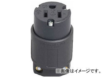 ꥫŵ ʿϷ ʥ󥳥ͥܥǥ 2P15A125V 7114GN(4750705)