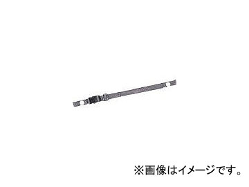DIC 󥿥åХ WT BAND(7960531)