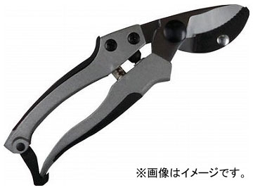 DAISHIN EG ߥ㥹 ӥ뷿 502136(8184410)