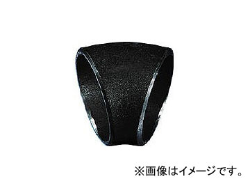 Ŵⵡ ݴܥ硼45 45SSGP100A(1598368) JAN4560136230956