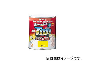 ڥϥԥ/KANPE  ȥåץ1.6L狼 1190181(3652041) JAN4972910406424