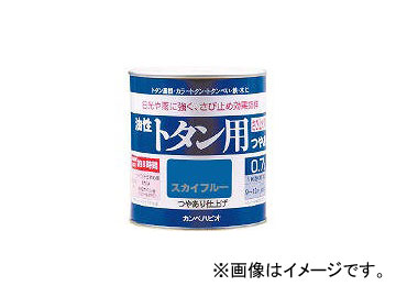 ڥϥԥ/KANPE  ȥ0.7L֥롼 1305990.7(3610756) JAN4972910331153