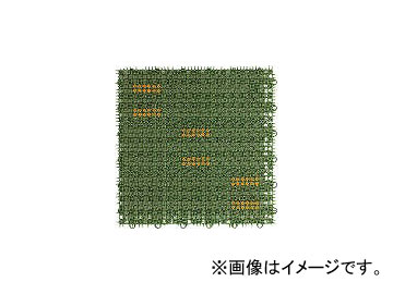 勵ʥٹ/WATANABE ͹ ֥å󥰥 30cm30cm ꡼ BT300(3971252) JAN4903620931456