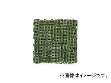 勵ʥٹ/WATANABE ͹ Хå 30cm30cm ꡼֥꡼ DT301(3971406) JAN4903620917863