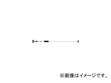  ͤĥꥹ KTSD250(3976921) JAN4535395000725