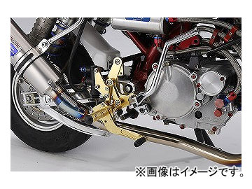 OVER バックステップ 4POSITION ディスク 51-01-12G ゴールド ホンダ