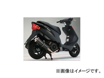 ӡॹ ޥե顼() SS300ܥ P022-1393  ɥ쥹V125 BC-CF46A