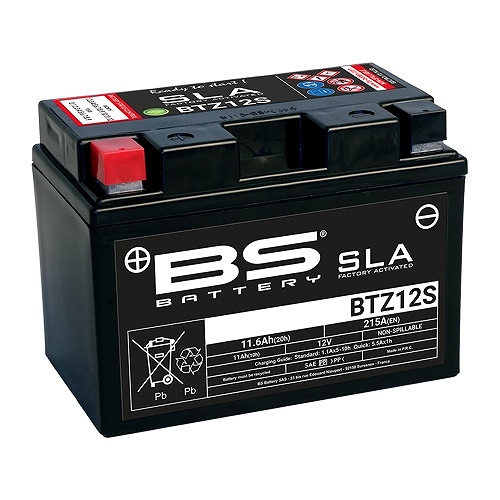 BSХåƥ꡼ SLAХåƥ꡼ ХѥХåƥ꡼ CBR1100XX CTX700/ǥ奢륯åȥ󥹥ߥå CTX700N/ǥ奢륯åȥ󥹥ߥå  BTZ12S