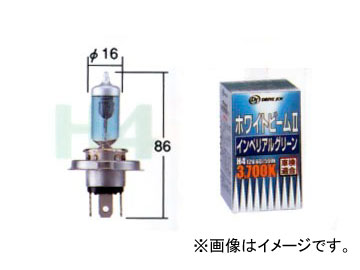 ȥ西/ƥ ۥ磻ȥӡII ڥꥢ륰꡼ H4HB2 V9119-3031 1