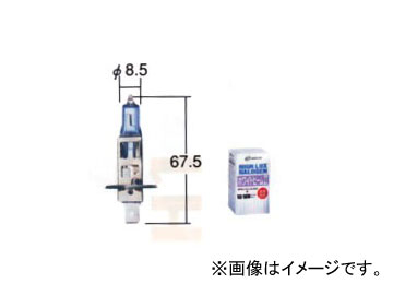 ȥ西/ƥ ۥ磻ȥӡII H1 V9119-3017 1