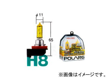 ݥ顼/POLARG B1 ϥ ԥ奢 H8 P0787Y 2