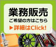 日動工業/NICHIDO ハロゲンライト ツインハロスター500W 2灯式