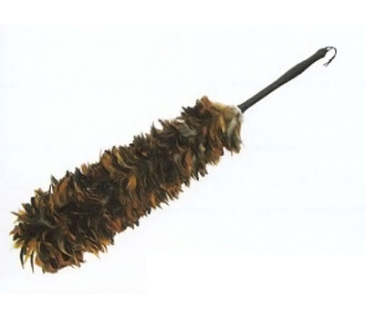 ե(CHUNICHI FEATHER) եD ŷ    V96200016