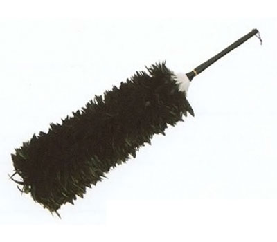 ե(CHUNICHI FEATHER) եS3 ŷ    V96200031