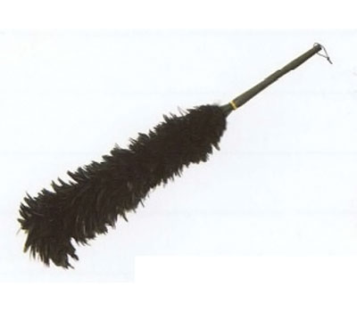 ե(CHUNICHI FEATHER) եE     V96200034