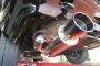 GPݡ EXAS EVO Tune ޥե顼 ȥ ӥ 250150