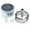Х 56mm 140cc ԥ ԥȥ åȥå Ŭ: YX 140cc 󥸥 ԥå ץ ȥ쥤 ȥХ 001 AL-KK-5094 AL