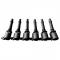 6ピース イグニッションコイル フォード ファルコン BA BF XR6 LTD BA BF テリトリー 4.0L 3R2U-12A366-AA 3R2U12A366AA BA12A366AA BAF12A366A AL-BB-3404 AL