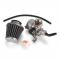 PZ19 硼֥쥿 CARBY ե륿 50CC 110CC 125CC ԥåȥå Au ݥ AL-BB-6153 AL